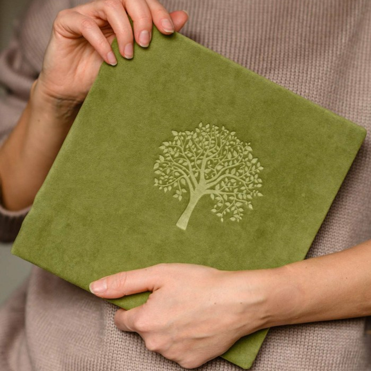 Мягкая плюшевая ткань Классик. Павел Будаев фотограф pro Улан-Удэ_Агинское_Иркутск