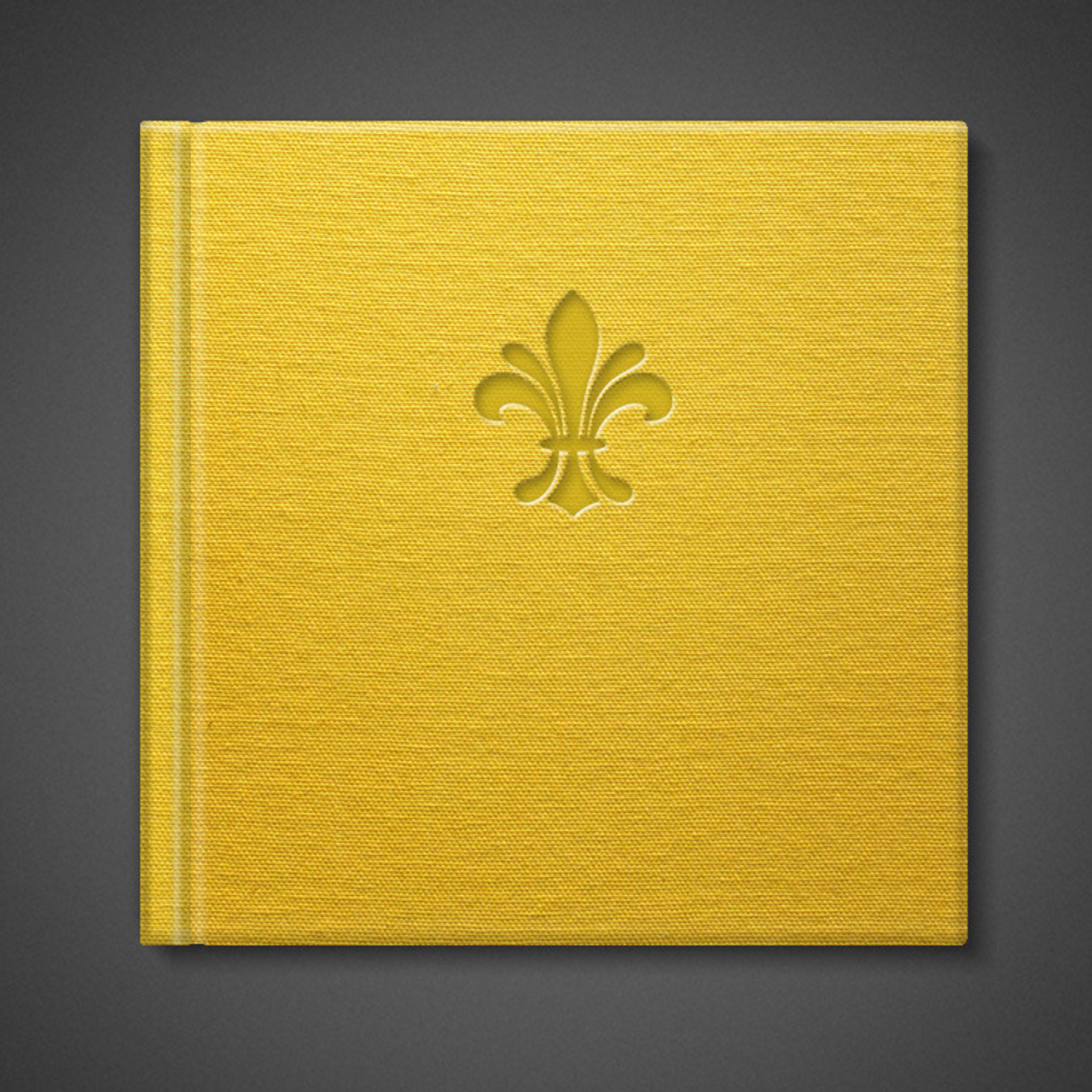 Испанский хлопок классик. Павел Будаев фотограф pro Улан-Удэ_Агинское_Иркутск