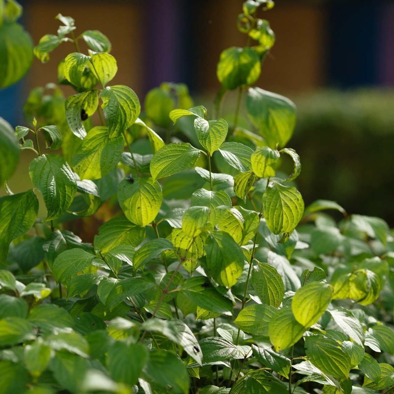 Отзывы. Портретный и репортажный фотограф в Сосновом Бору и Санкт-Петербурге Леонтьева Татьяна