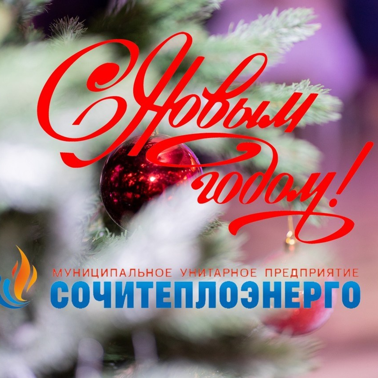 Отзывы клиентов. Фотограф в Сочи Тиунова Маргарита и Тиунов Евгений