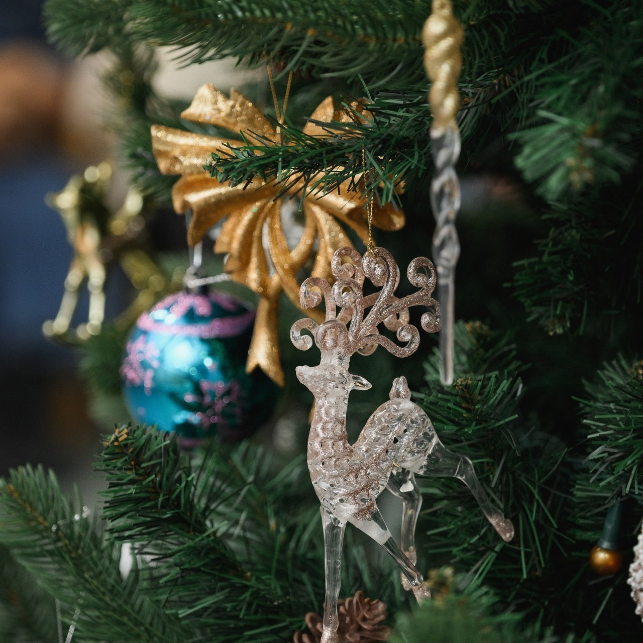 Отзывы. Фотограф Камчатка Тимофей Тимофеенко