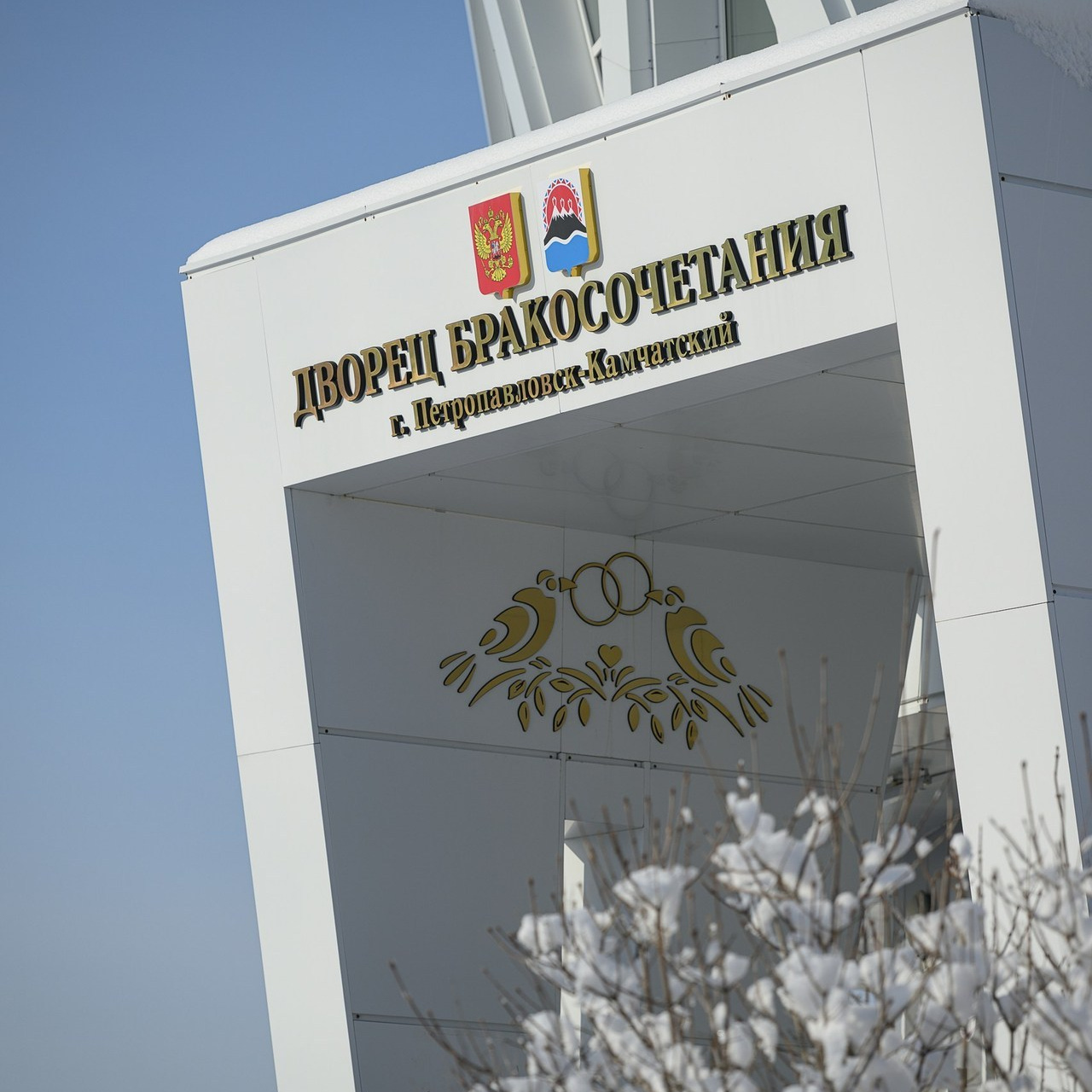 Отзывы. Фотограф Камчатка Тимофей Тимофеенко