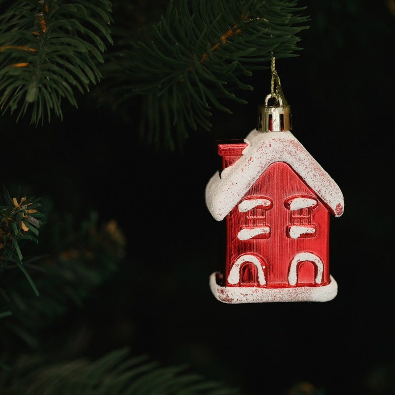 Отзывы. Фотограф Камчатка Тимофей Тимофеенко