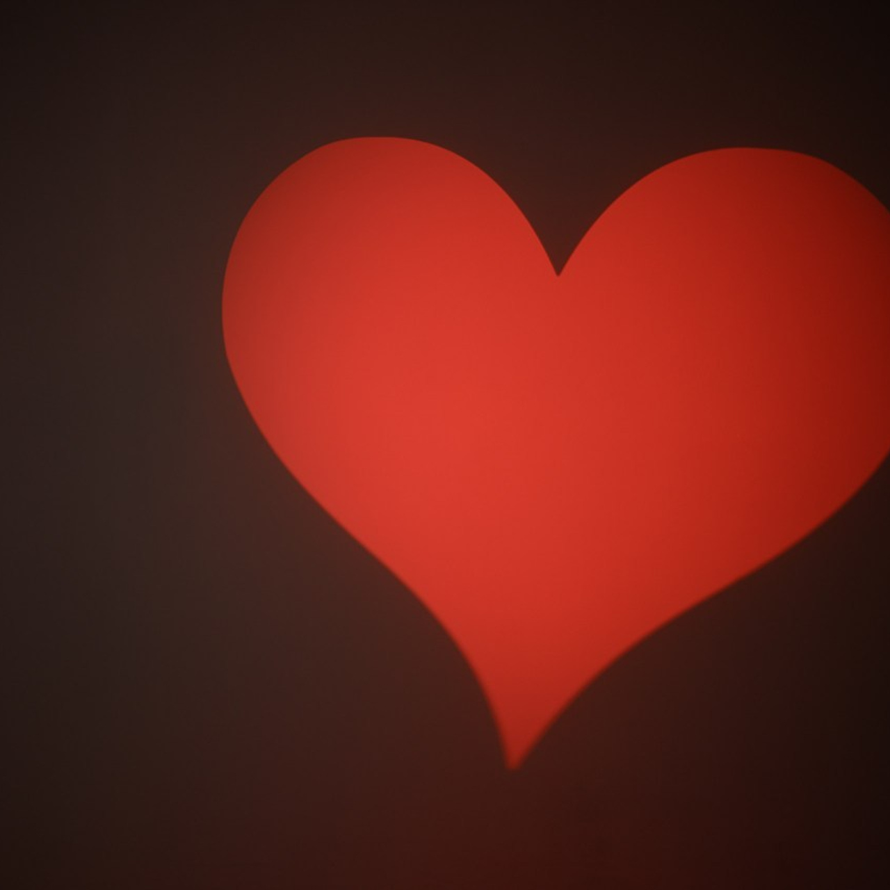 Отзывы. Фотограф Камчатка Тимофей Тимофеенко