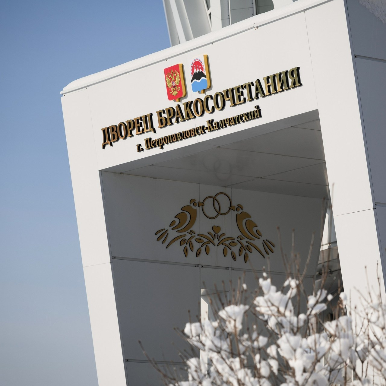 Отзывы. Фотограф Камчатка Тимофей Тимофеенко