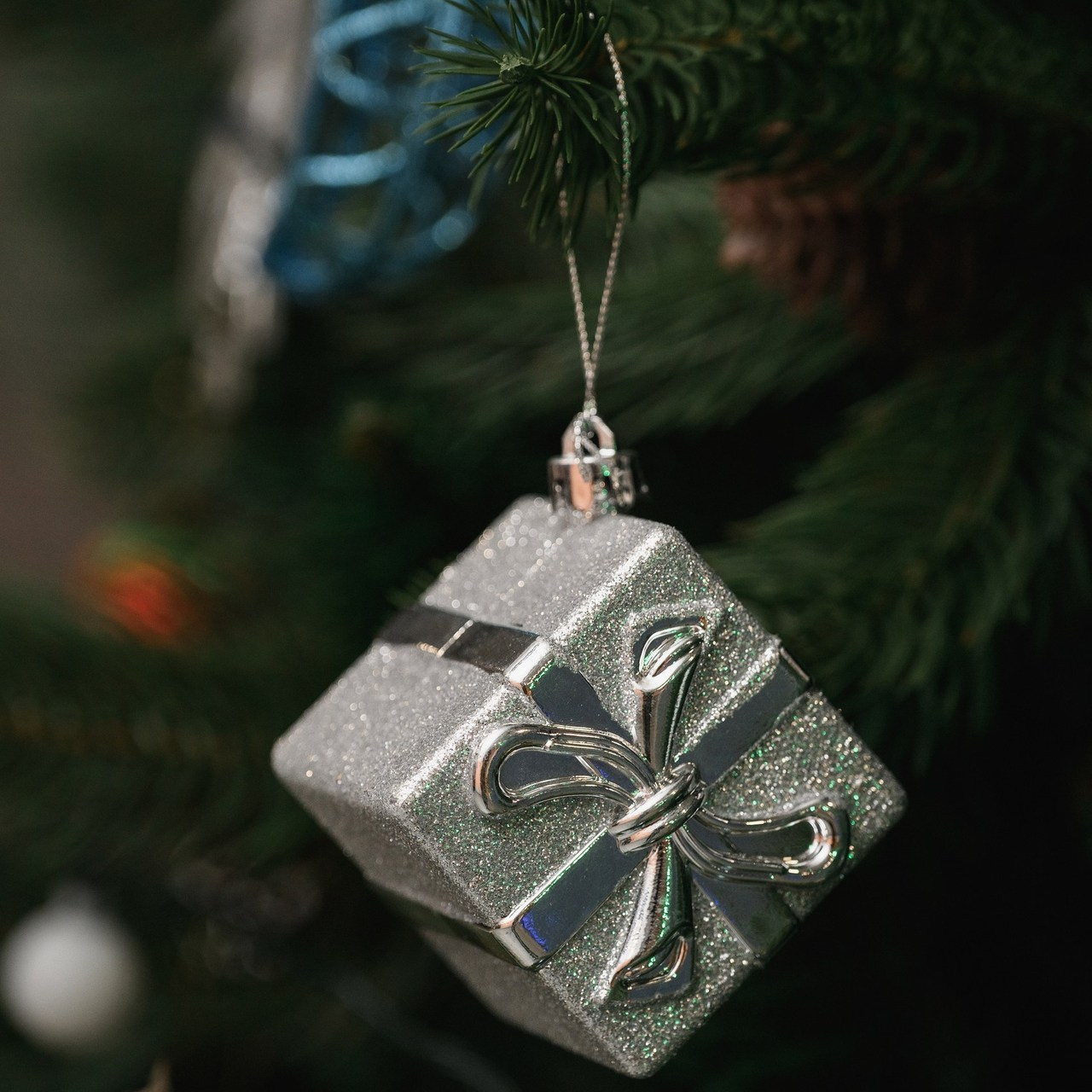 Отзывы. Фотограф Камчатка Тимофей Тимофеенко