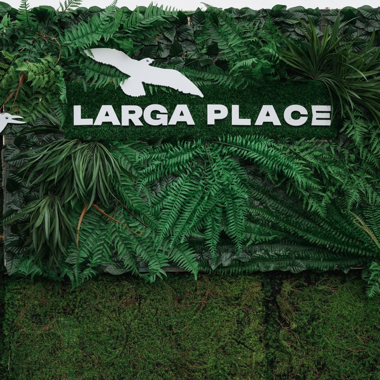 Отзывы. Фотограф Камчатка Тимофей Тимофеенко