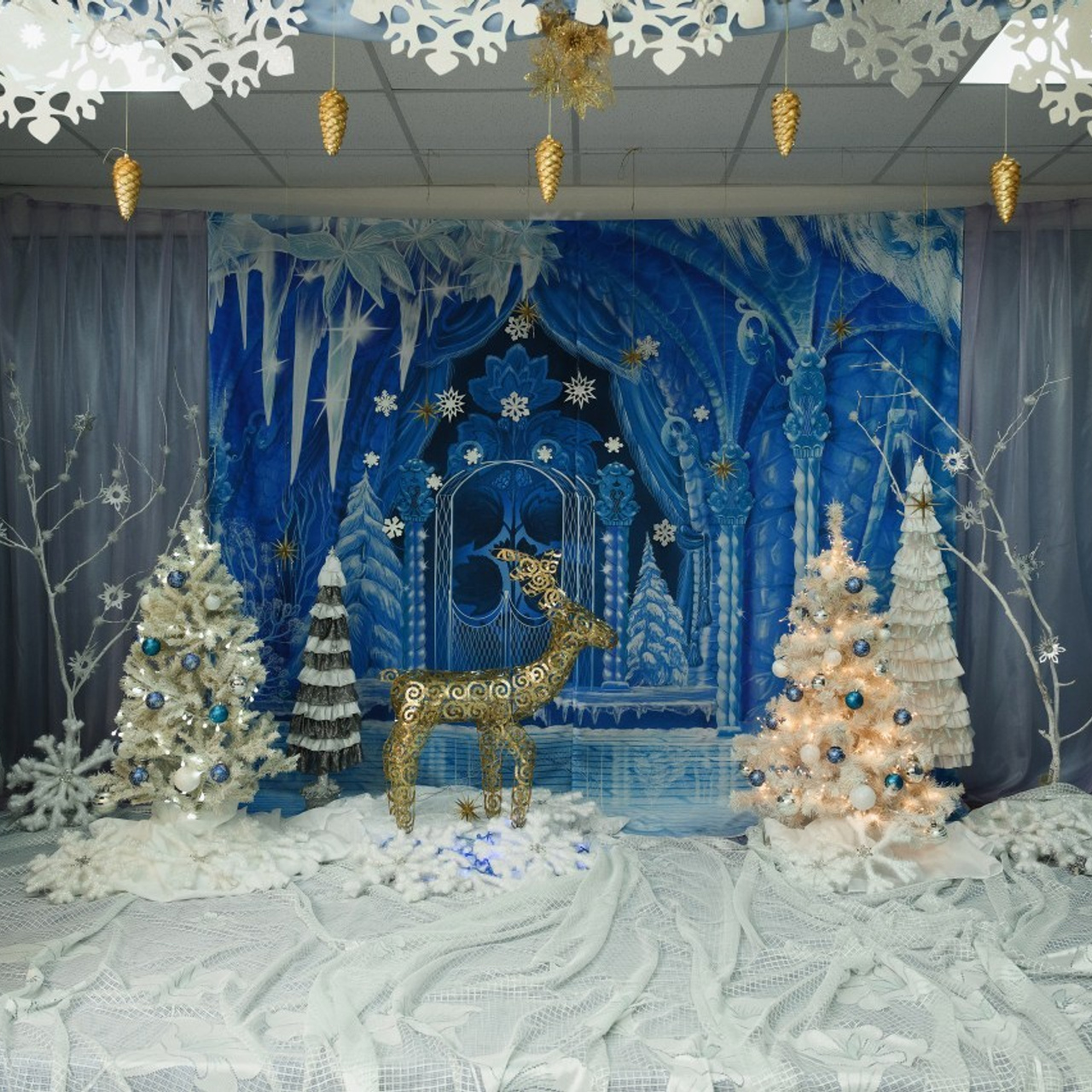 Отзывы. Фотограф Камчатка Тимофей Тимофеенко