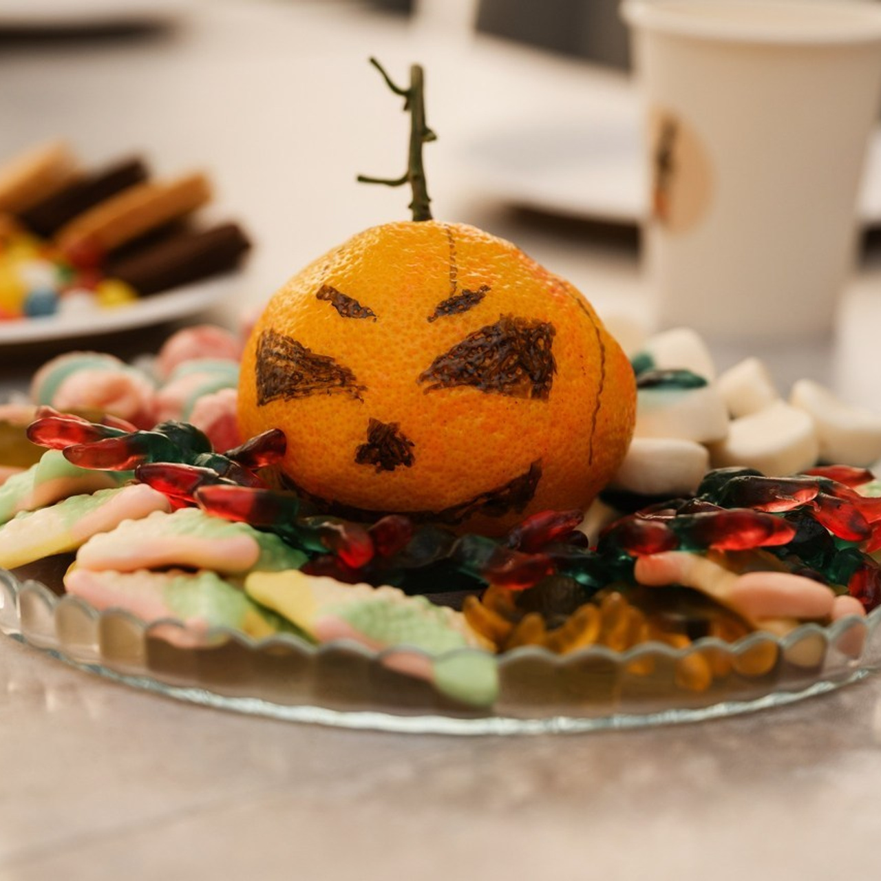 Отзывы. Фотограф Камчатка Тимофей Тимофеенко