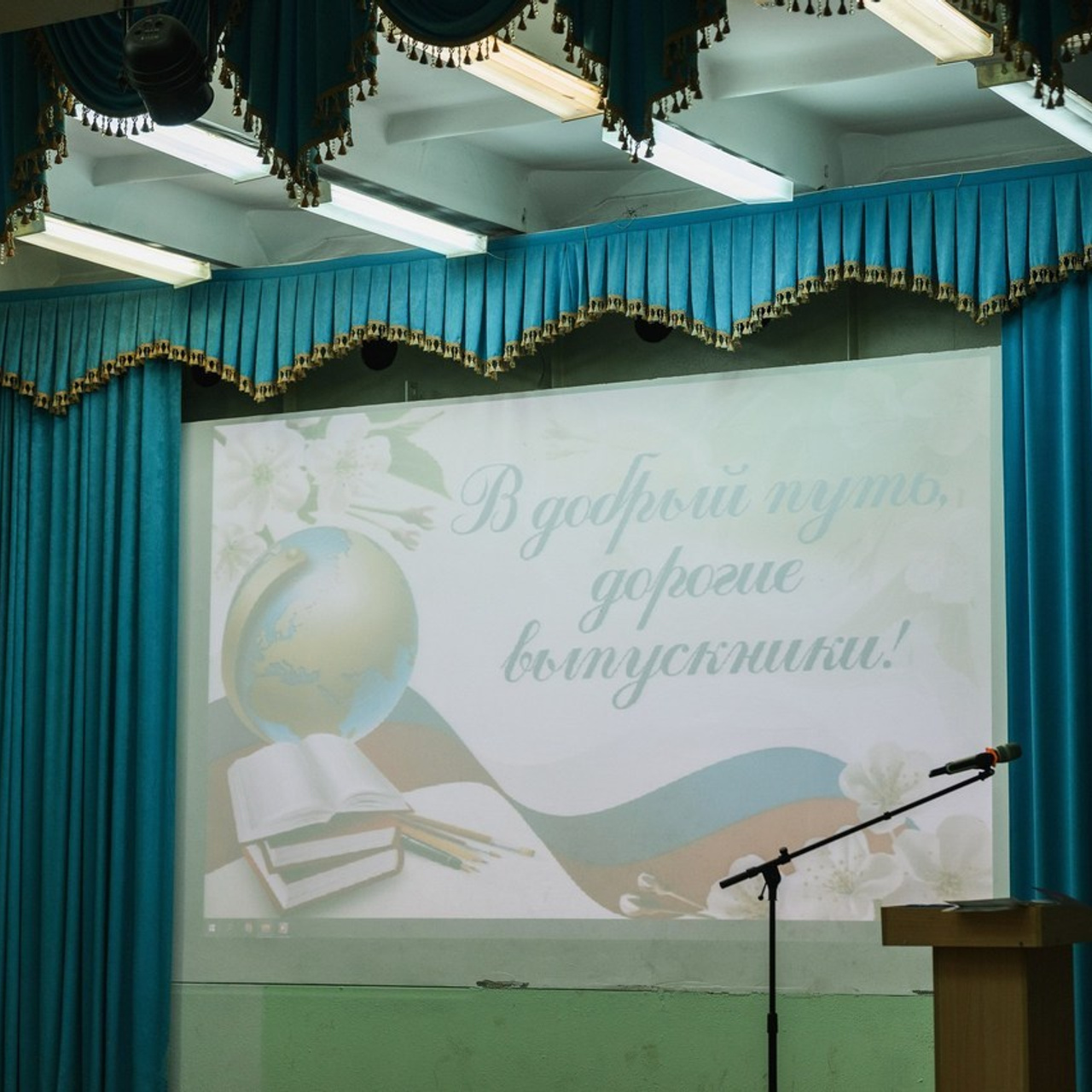 Отзывы. Фотограф Камчатка Тимофей Тимофеенко