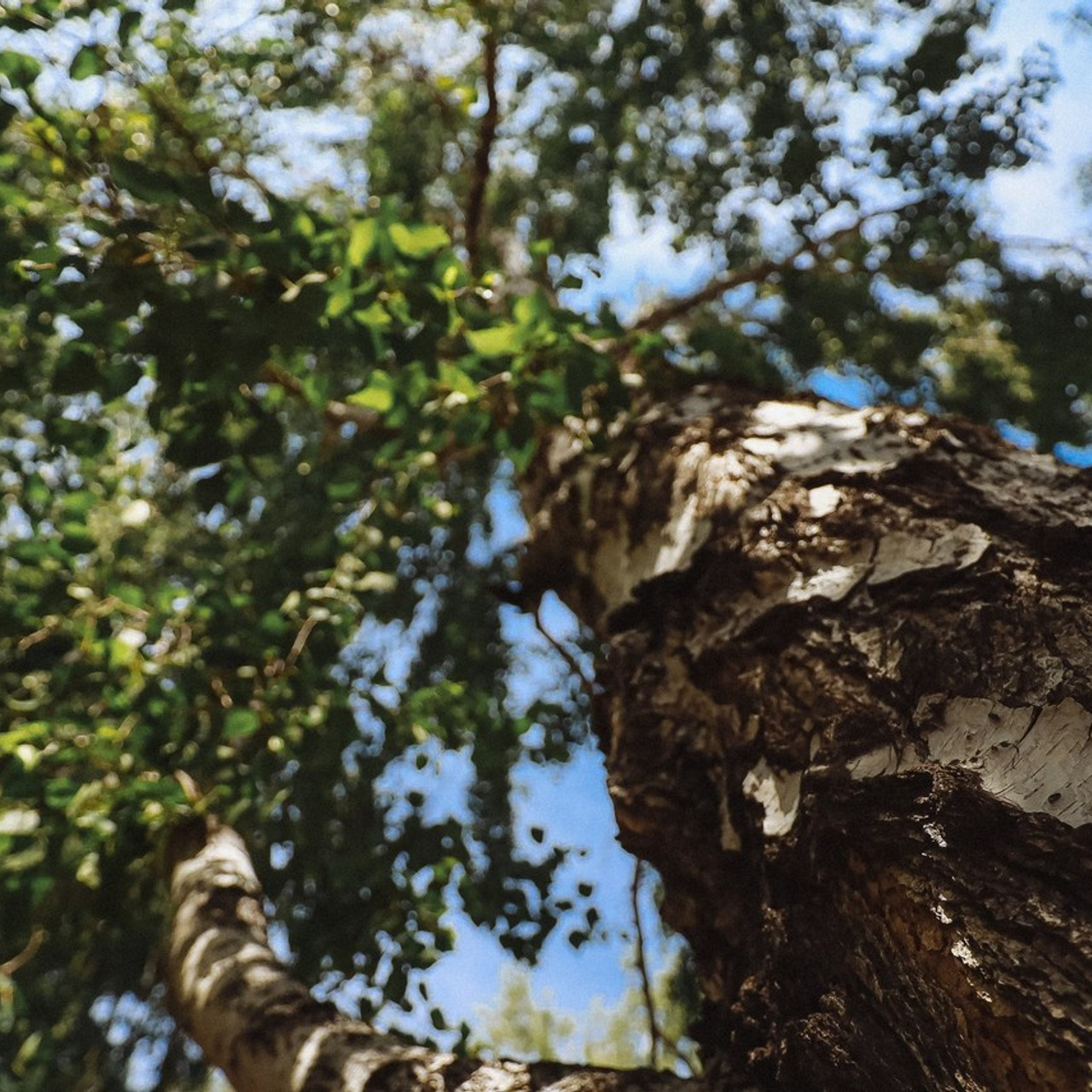 Отзывы о работе фотографа, Забелина отзывы. Фотограф историй в Челябинске и Екб