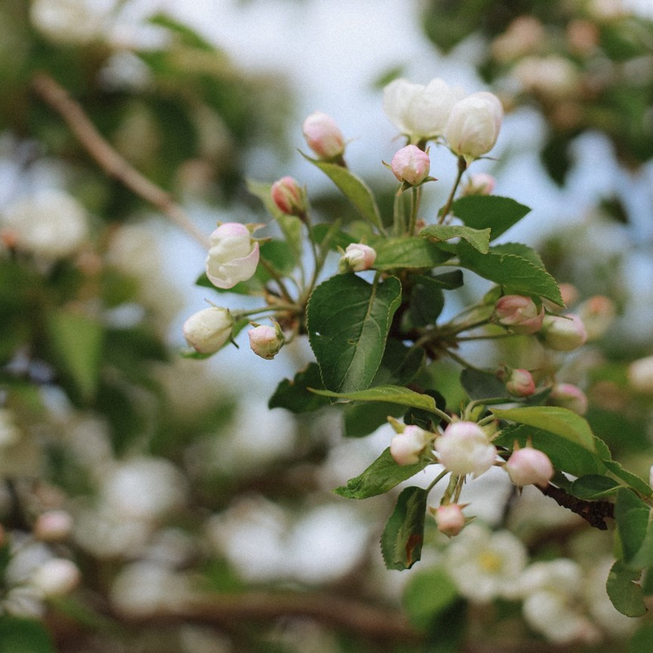 Отзывы о работе фотографа, Забелина отзывы. Фотограф историй в Челябинске и Екб