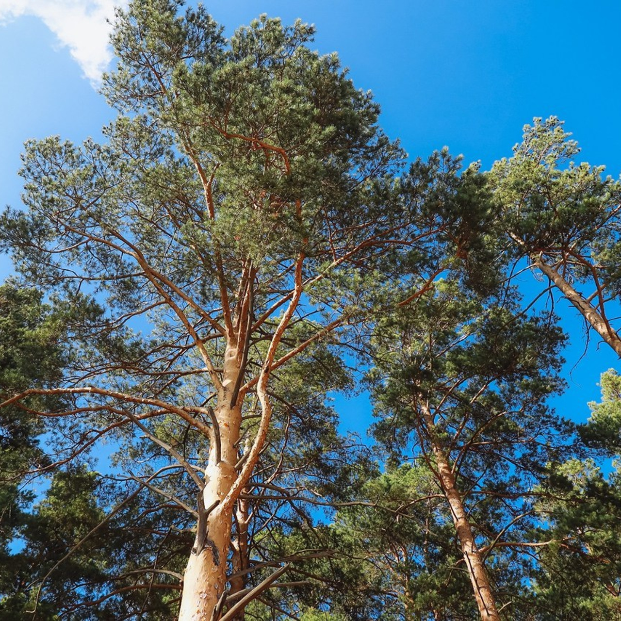Отзывы о работе фотографа, Забелина отзывы. Фотограф историй в Челябинске и Екб