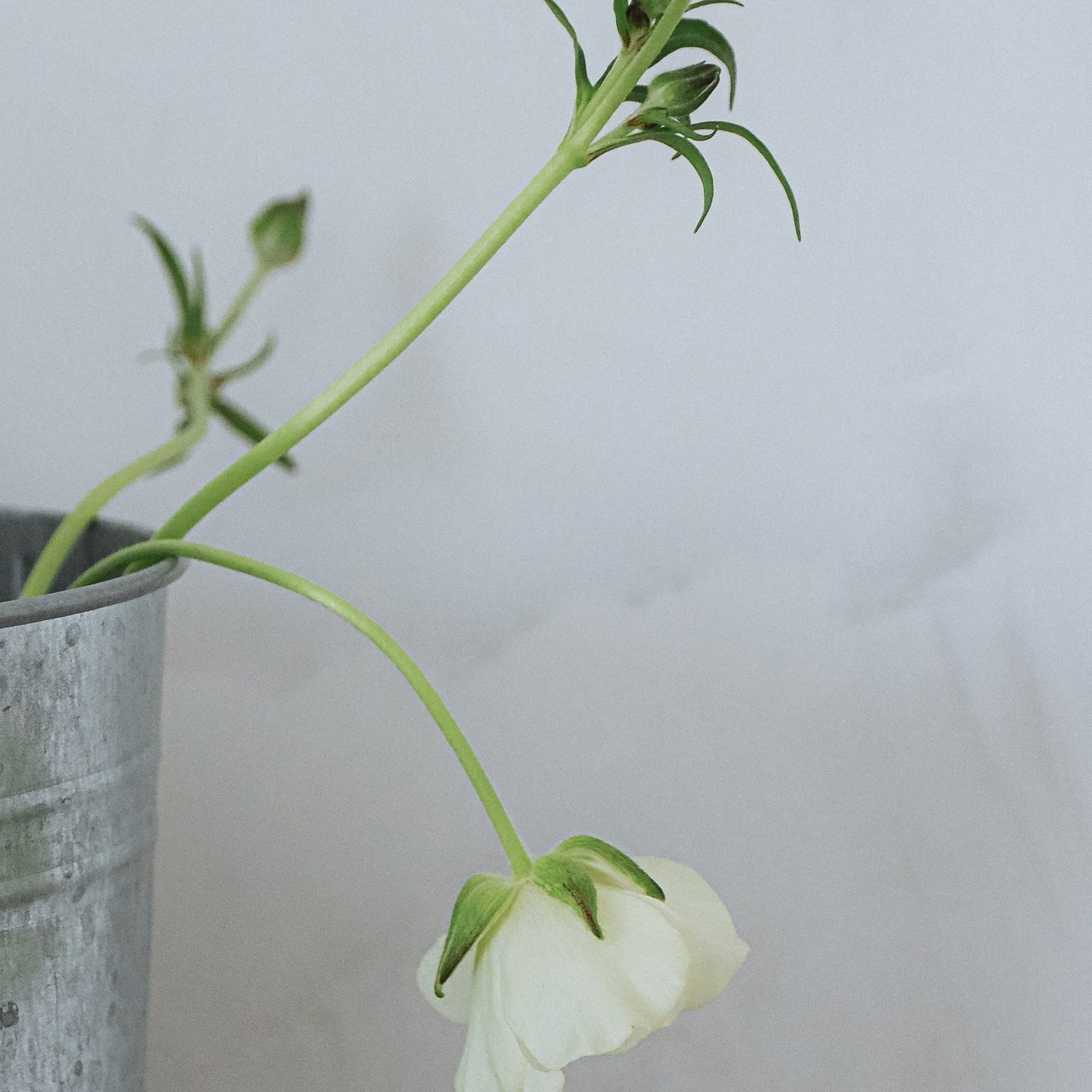 Отзывы о работе фотографа, Забелина отзывы. Фотограф историй в Челябинске и Екб