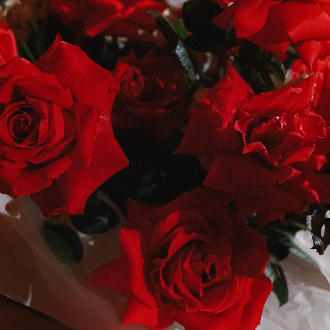 Отзывы о работе фотографа, Забелина отзывы. Фотограф историй в Челябинске и Екб