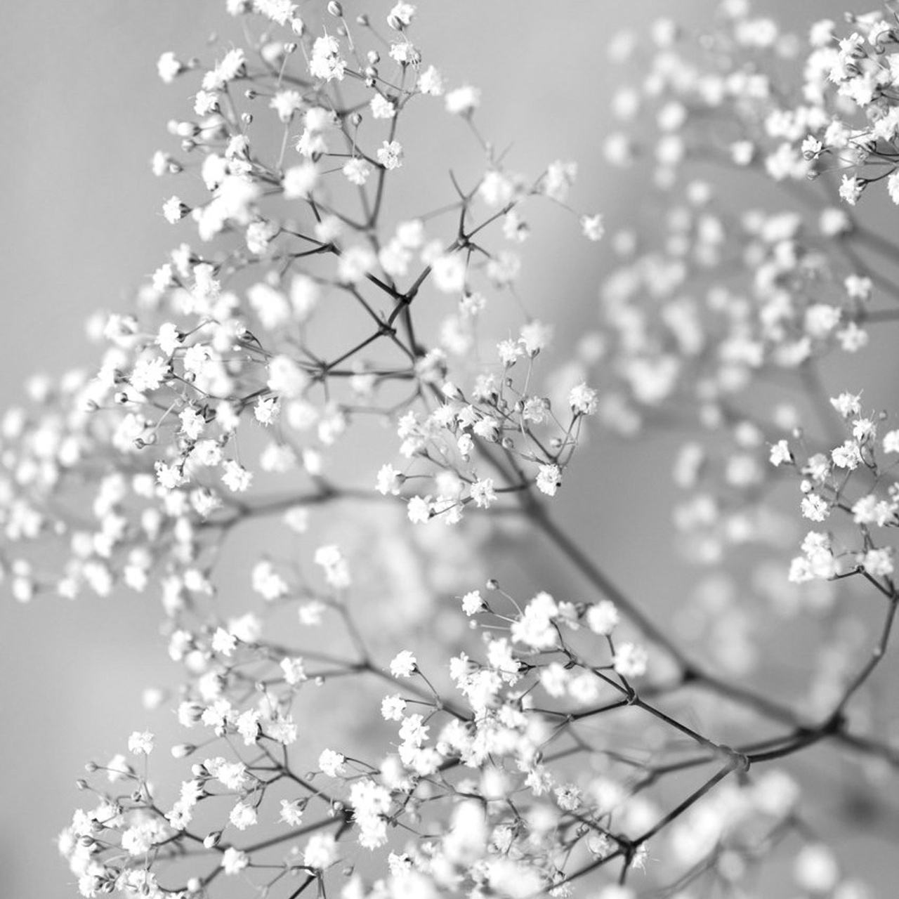 Отзывы. Свадебный фотограф Александра Попова