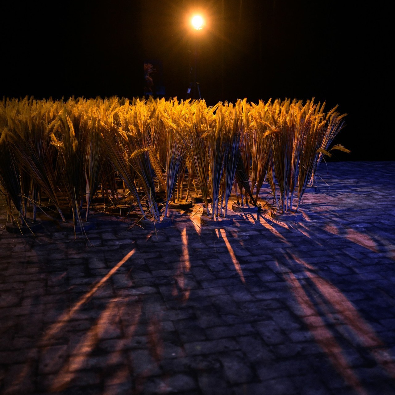 Reviews. Wedding and family photographer USA