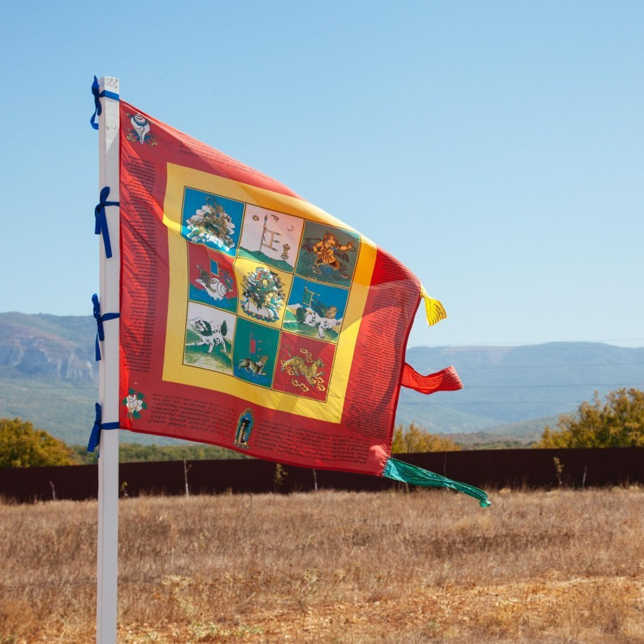 Отзывы. Фотография, как она есть