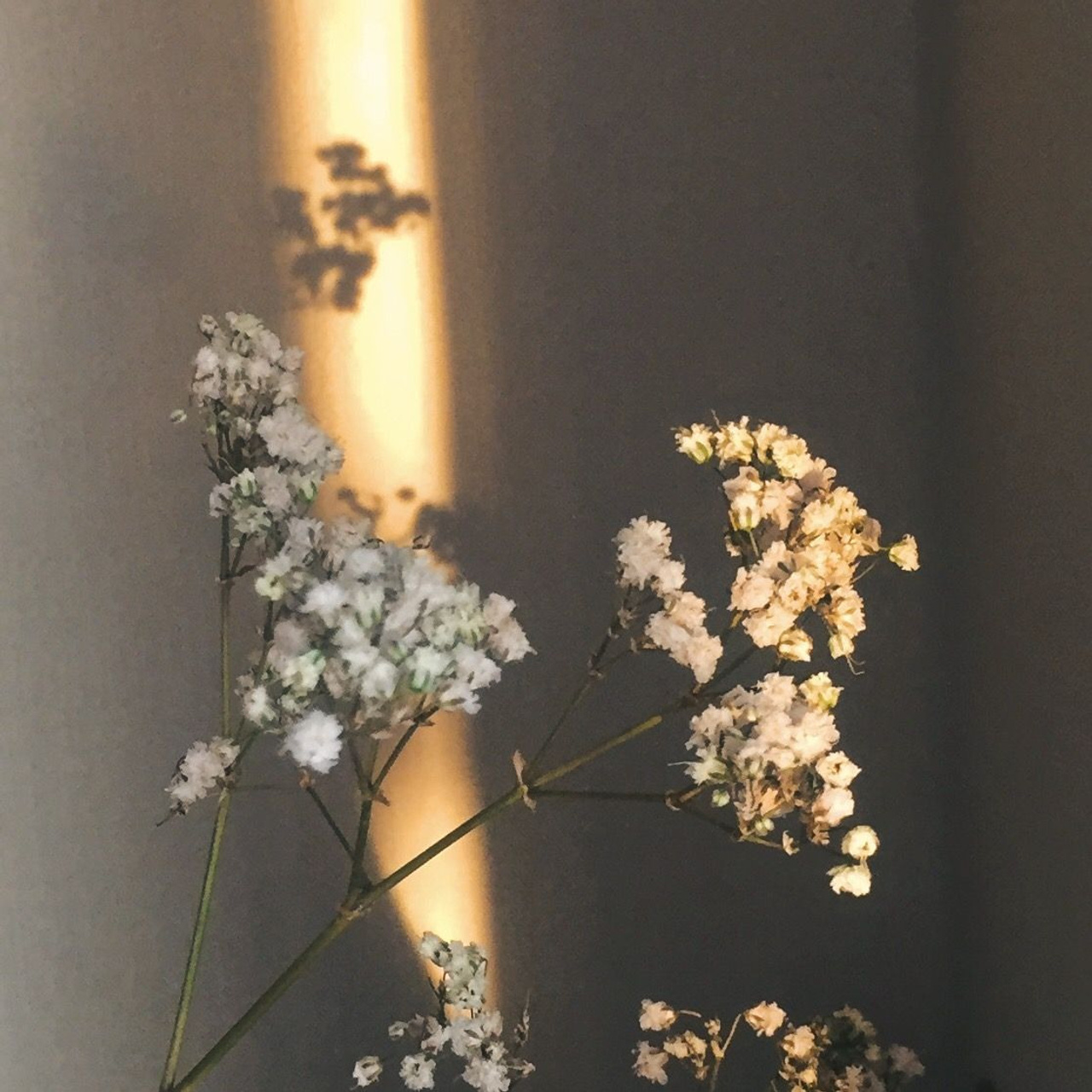 Отзывы. Фотограф Таина Комбарова