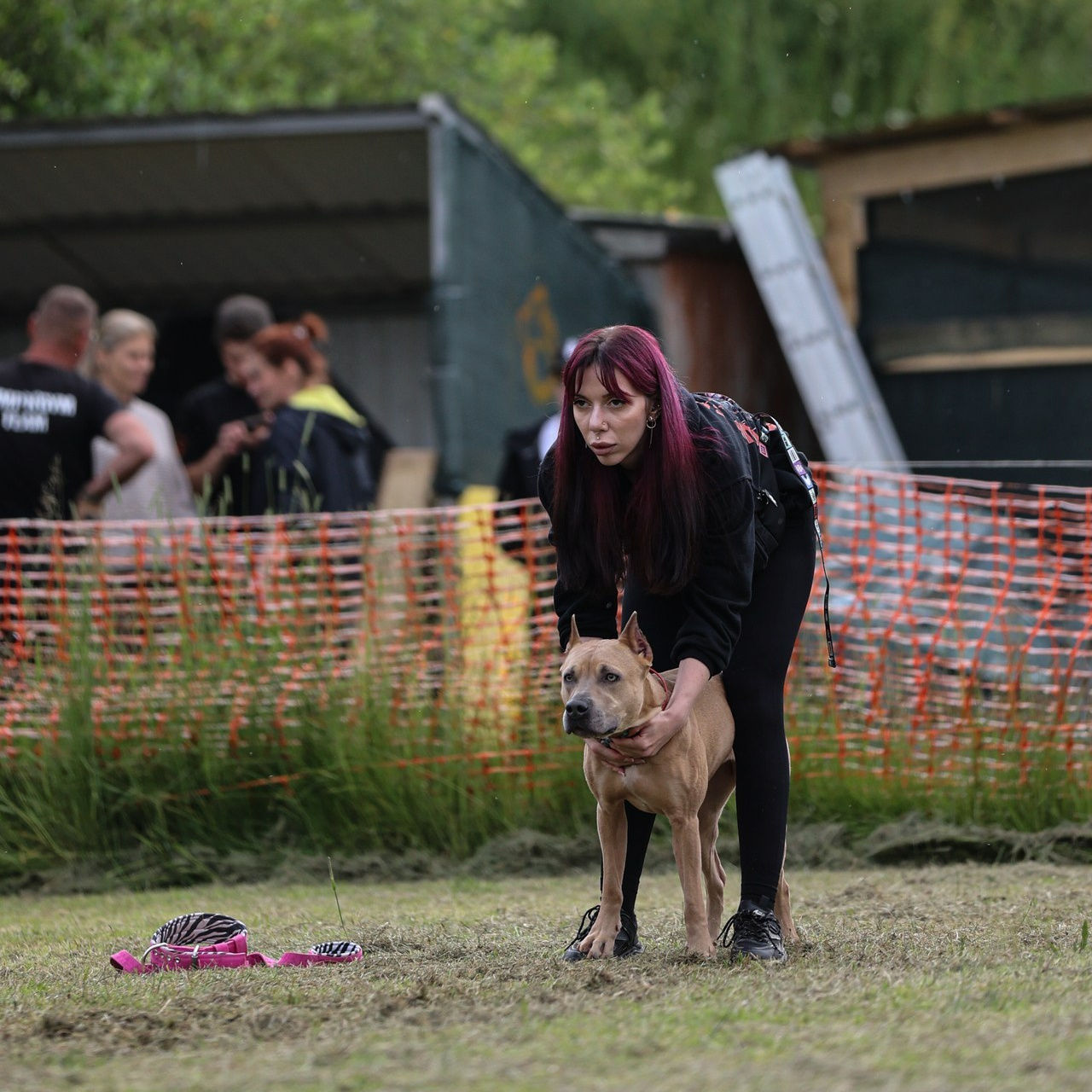 Отзывы. Фотограф-анималист Павлова Любовь