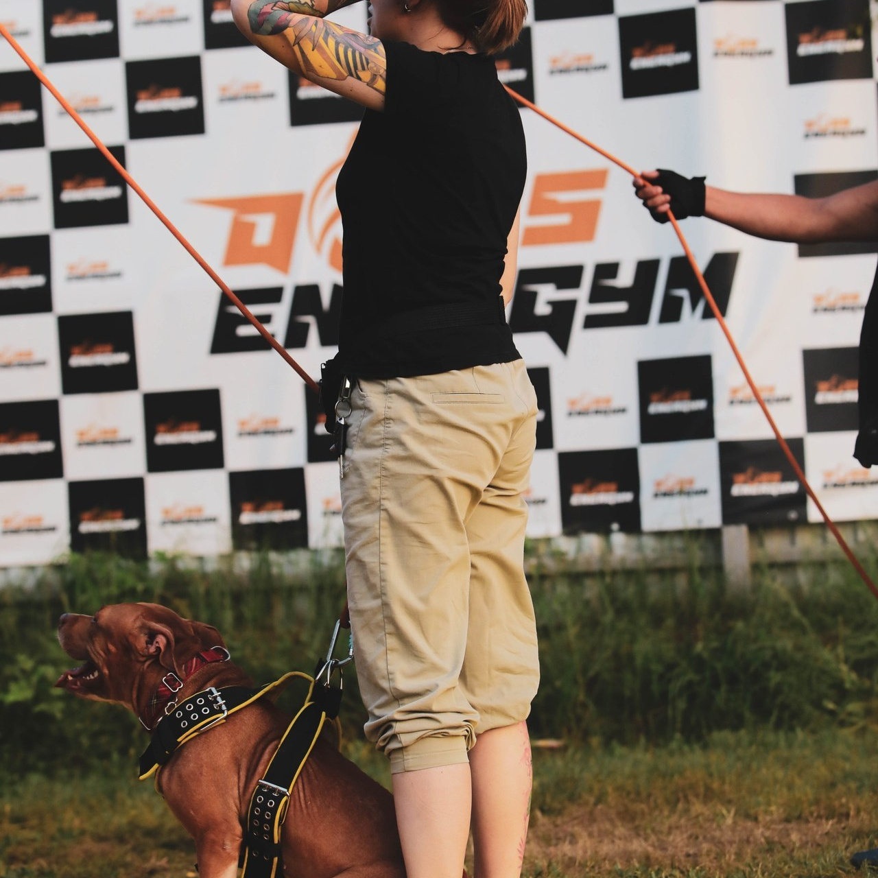 Отзывы. Фотограф-анималист Павлова Любовь