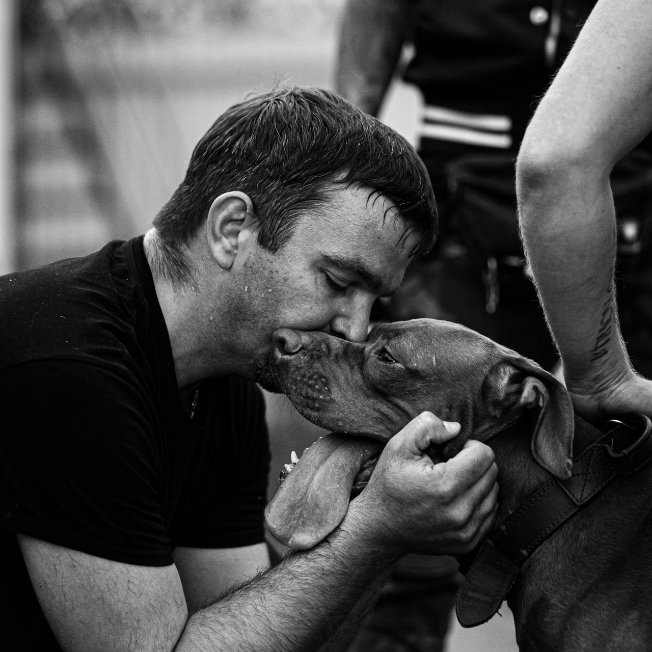 Отзывы. Фотограф-анималист Павлова Любовь