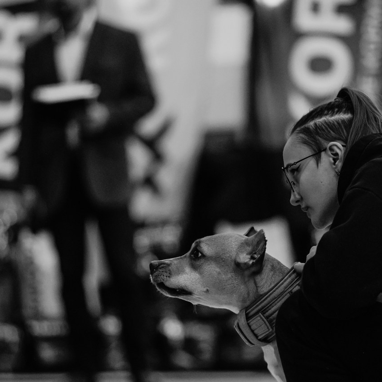 Отзывы. Фотограф-анималист Павлова Любовь