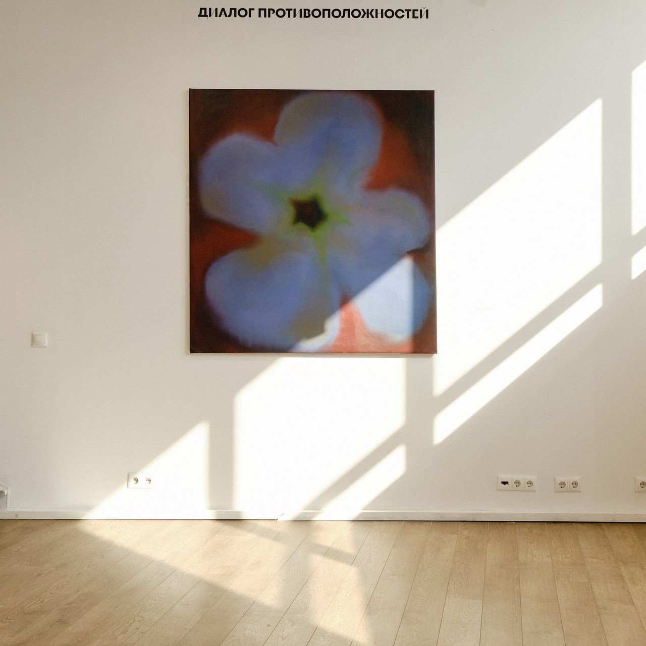 Отзывы. Портретный и репортажный фотограф в Москве Острикова Анастасия