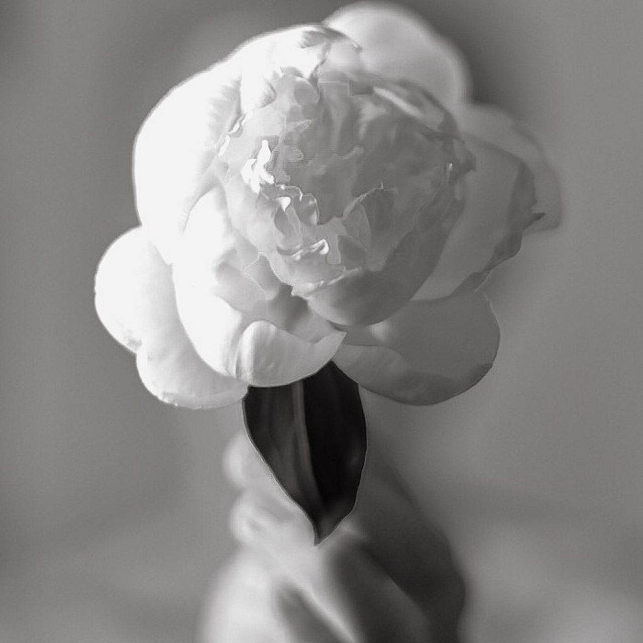 Отзывы. Фотограф Алматы Ольга Photodooshy