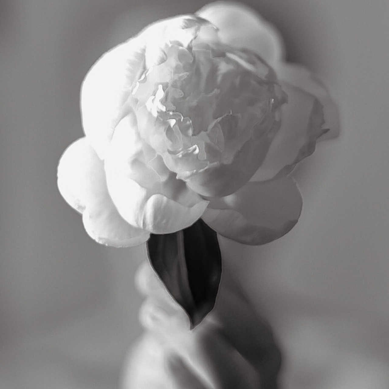 Отзывы. Фотограф Алматы Ольга Photodooshy