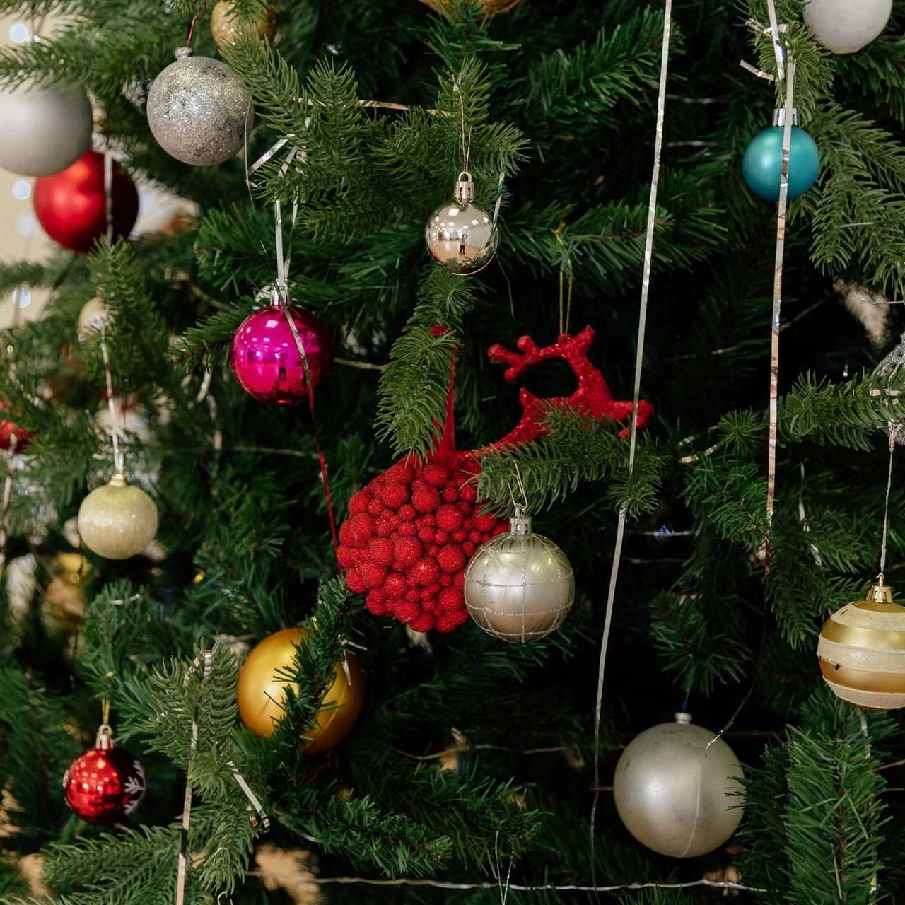 Отзывы. Фотограф Красноярск Машкина Татьяна