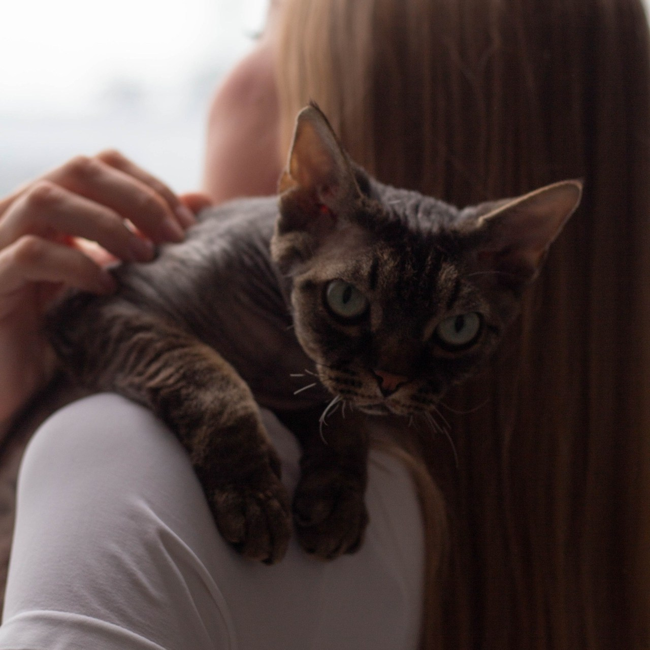 Отзывы. Oyallu.ru