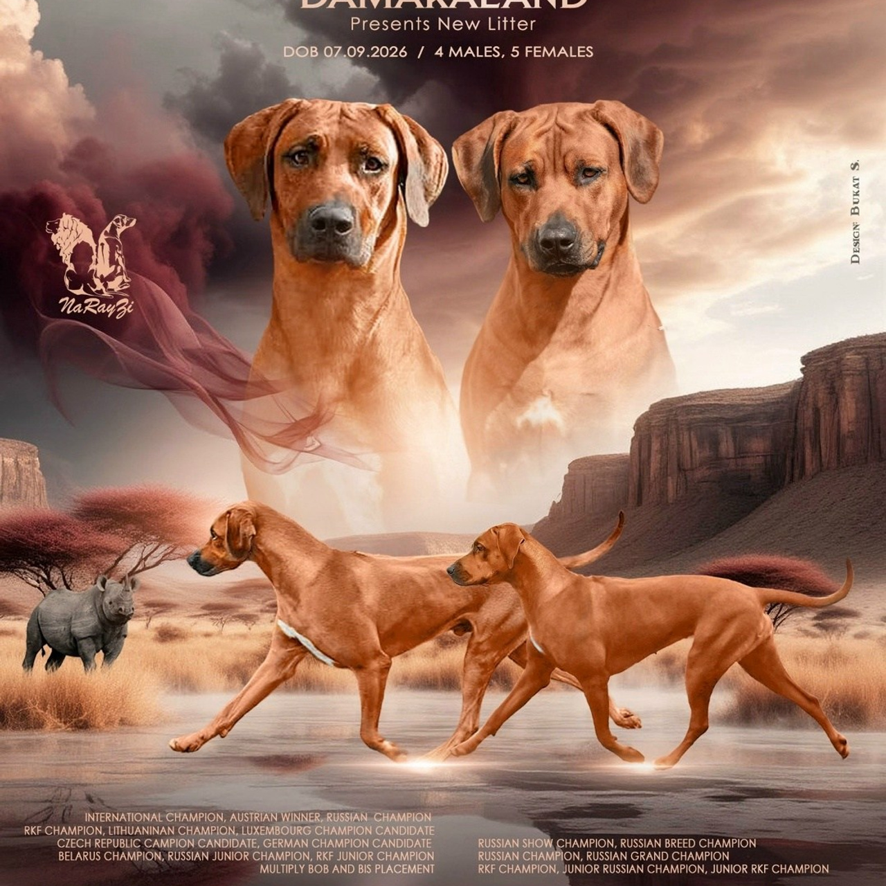 DAMARALAND Iz Doma Narayzi (ДАМАРАЛЭНД Из Дома Нарэйзи)