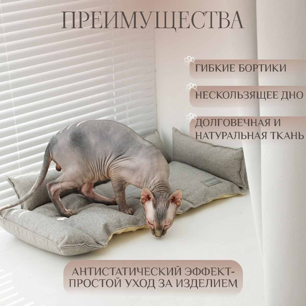 Лежак для кошек. ФОТОГРАФ ОКСАНА БРЭДШОУ