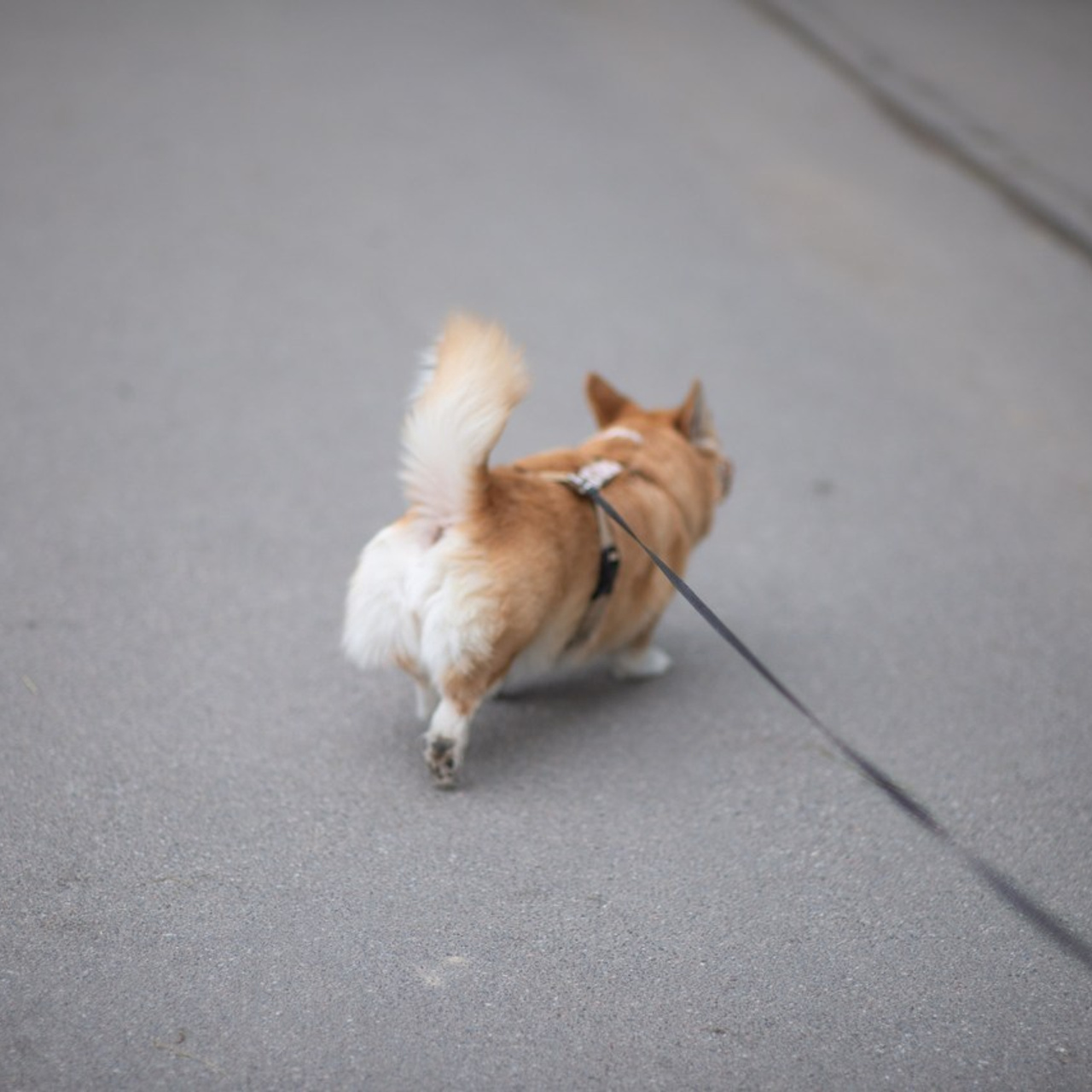 Отзывы. Гюйо Георгий — фотограф