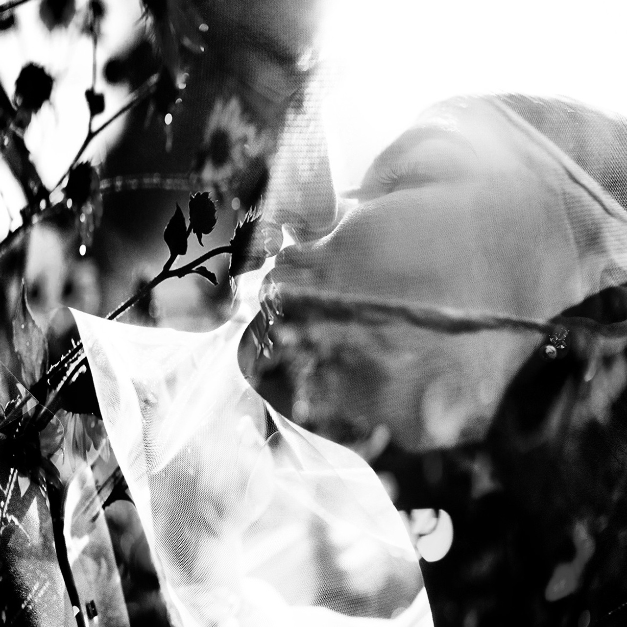 Отзывы о работе фотографа Елены Сторожок. Свадебный и семейный фотограф в Ростове-на-Дону Елена Сторожок