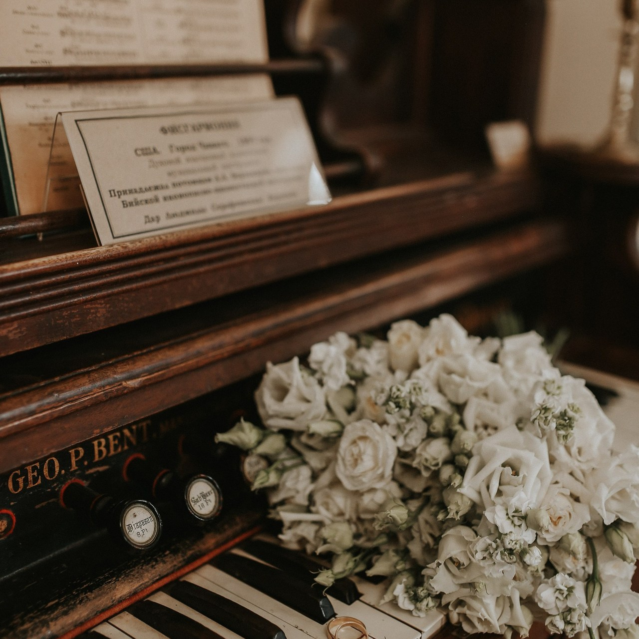 Отзывы. Семейный и свадебный фотограф в Новосибирске/Бийске Екатерина Логинова