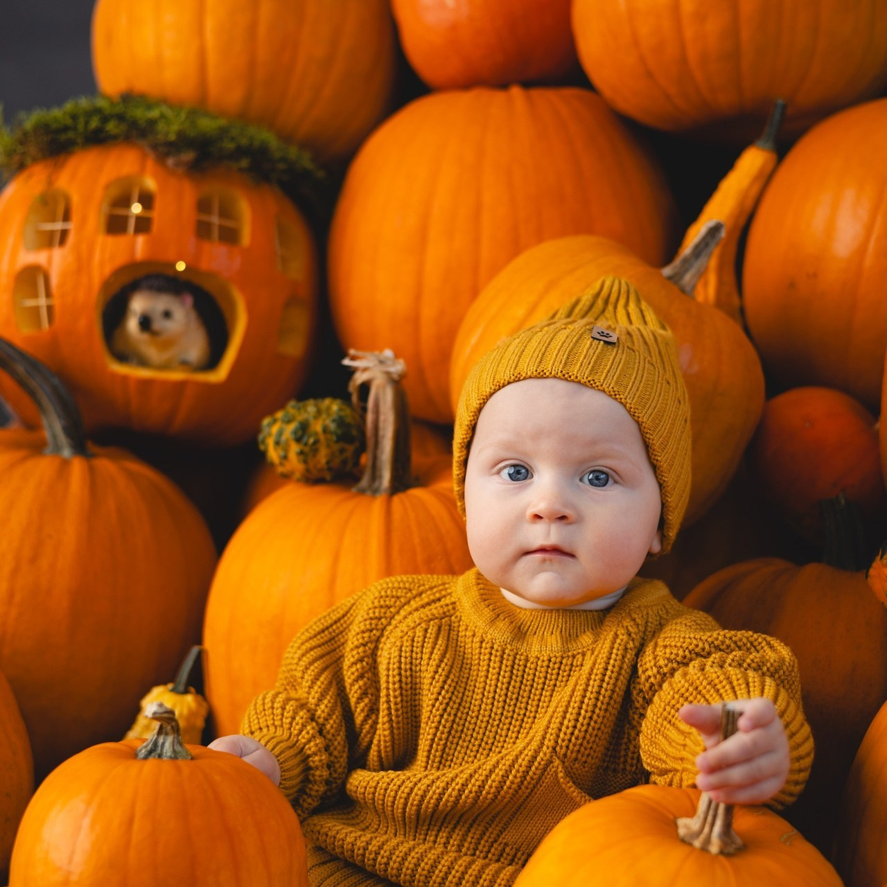 Отзывы. Newborn фотограф Анна Дудина!