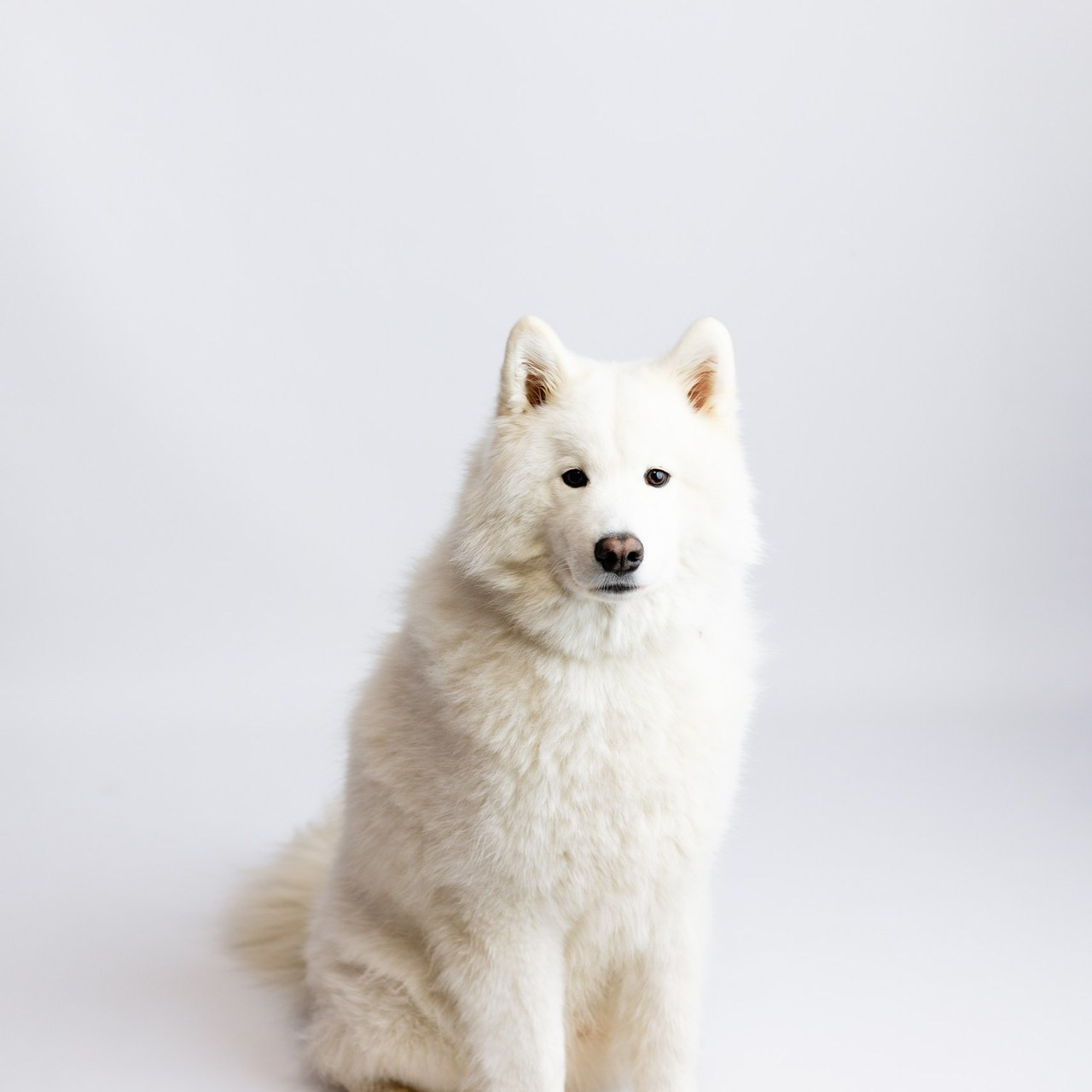 Отзывы. Newborn фотограф Анна Дудина!