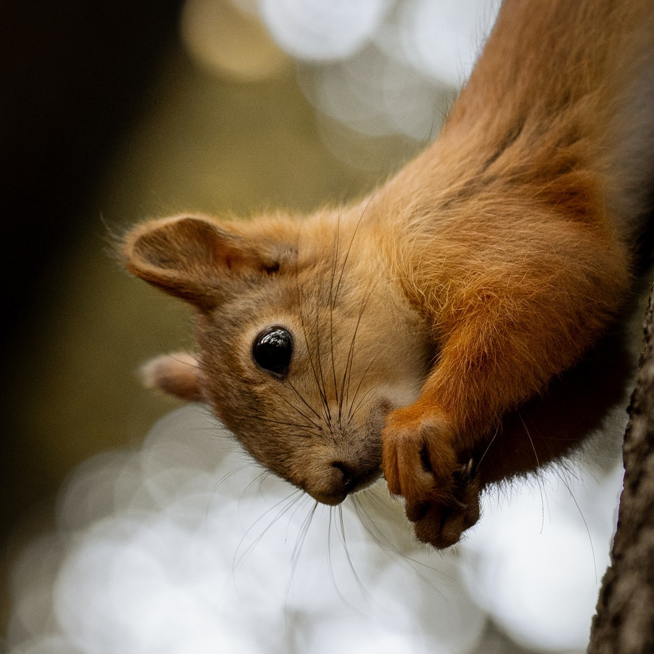 Отзывы. Чинёнов Антон