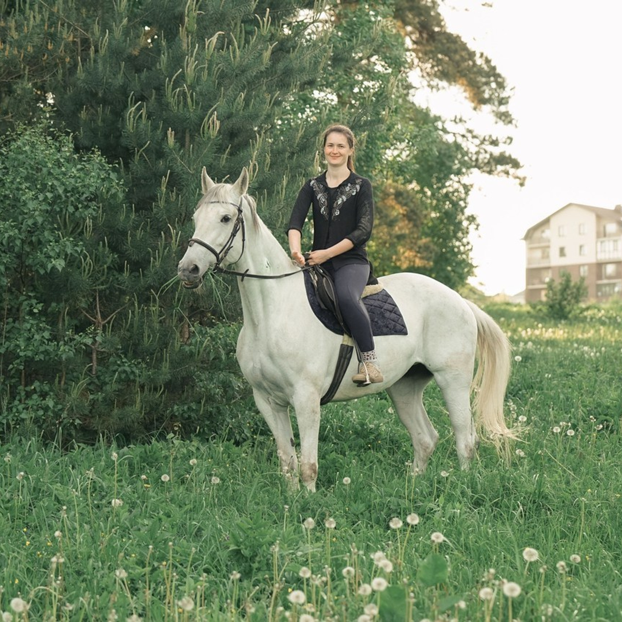 Отзывы. Фотограф в Калуге фотосессии с лошадьми в Калуге Грешнова Ольга