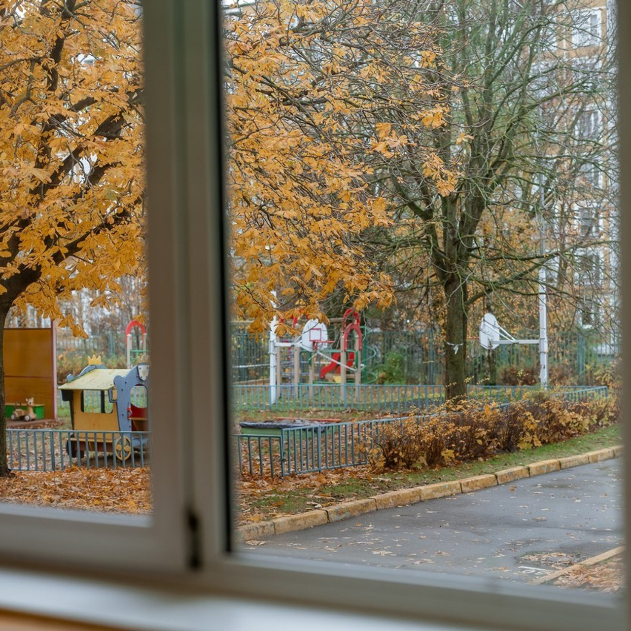 Отзывы. Каминская Екатерина. Семейный и детский фотограф в Москве