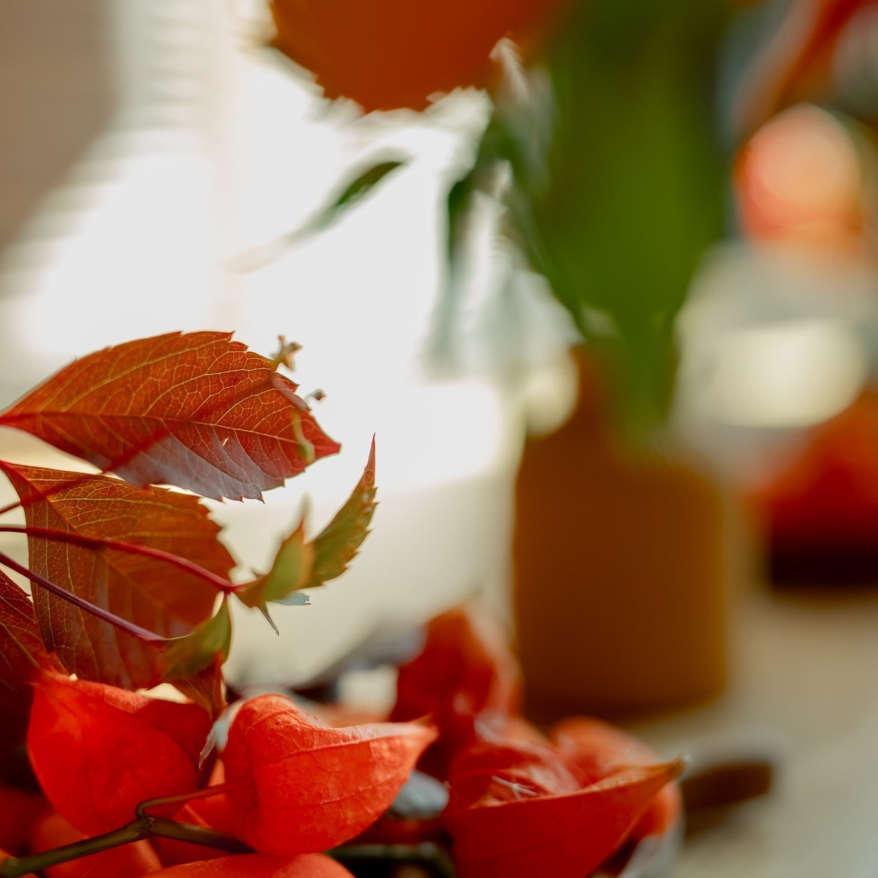 Отзывы. Каминская Екатерина. Семейный и детский фотограф в Москве