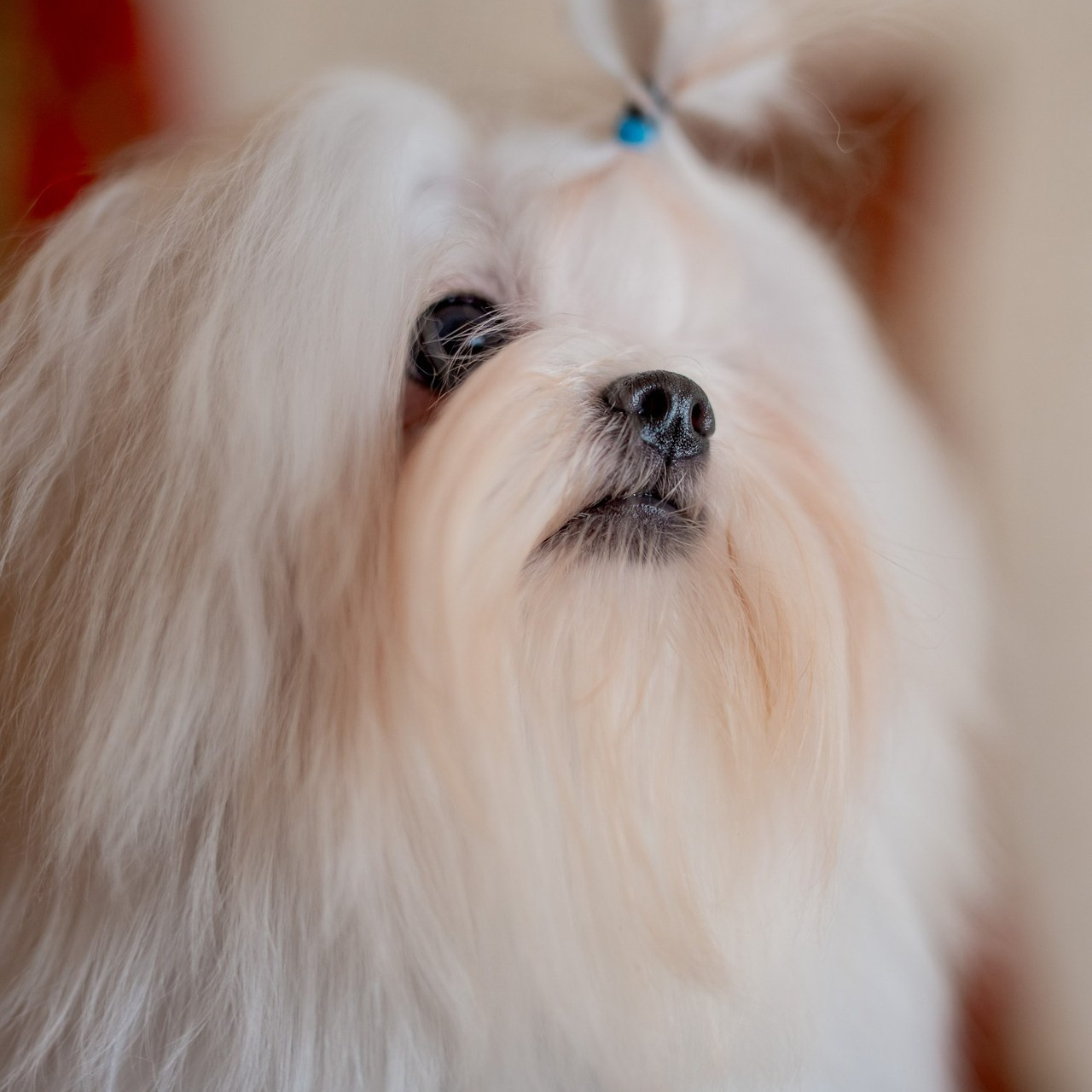 Отзывы. Каминская Екатерина. Семейный и детский фотограф в Москве