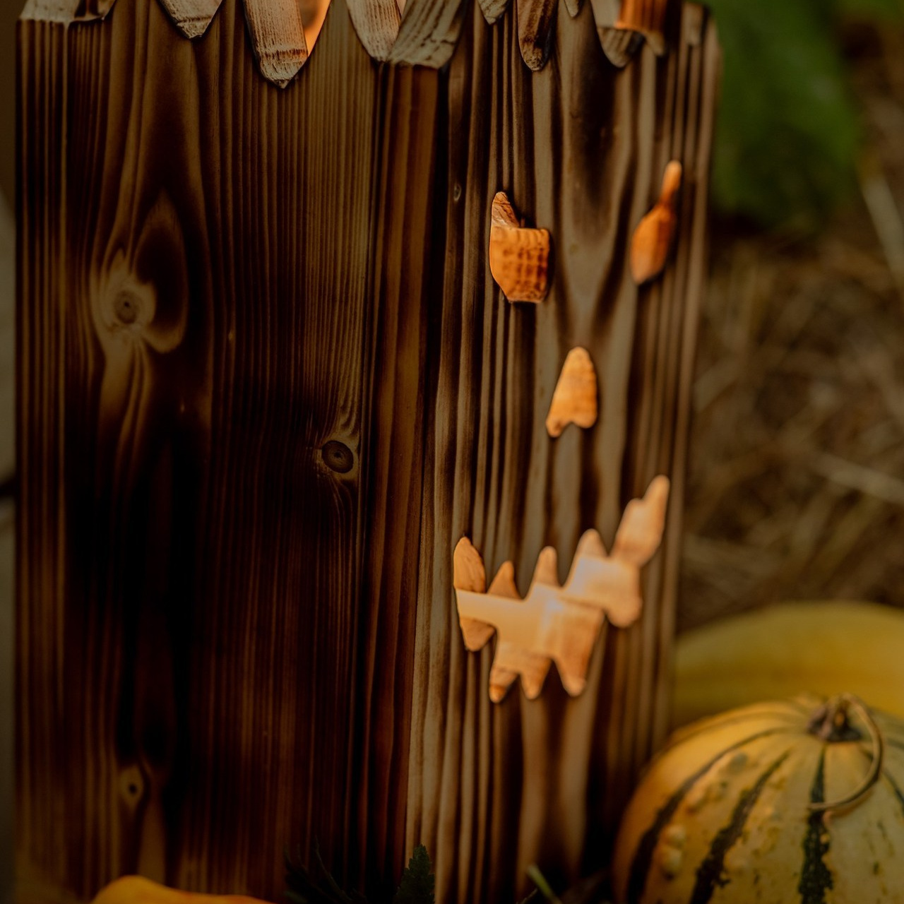 Отзывы. Каминская Екатерина. Семейный и детский фотограф в Москве