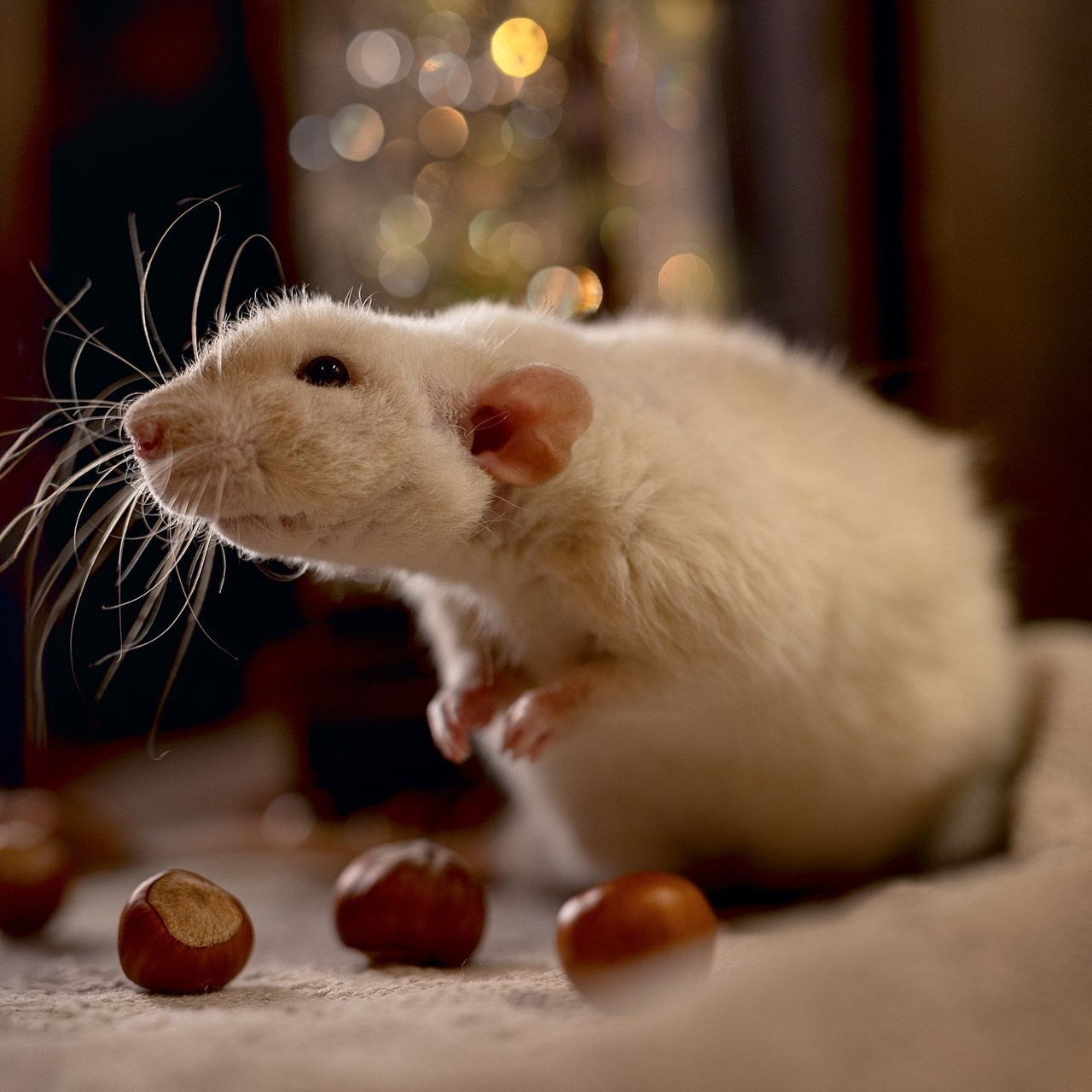 Отзывы. Каминская Екатерина. Семейный и детский фотограф в Москве