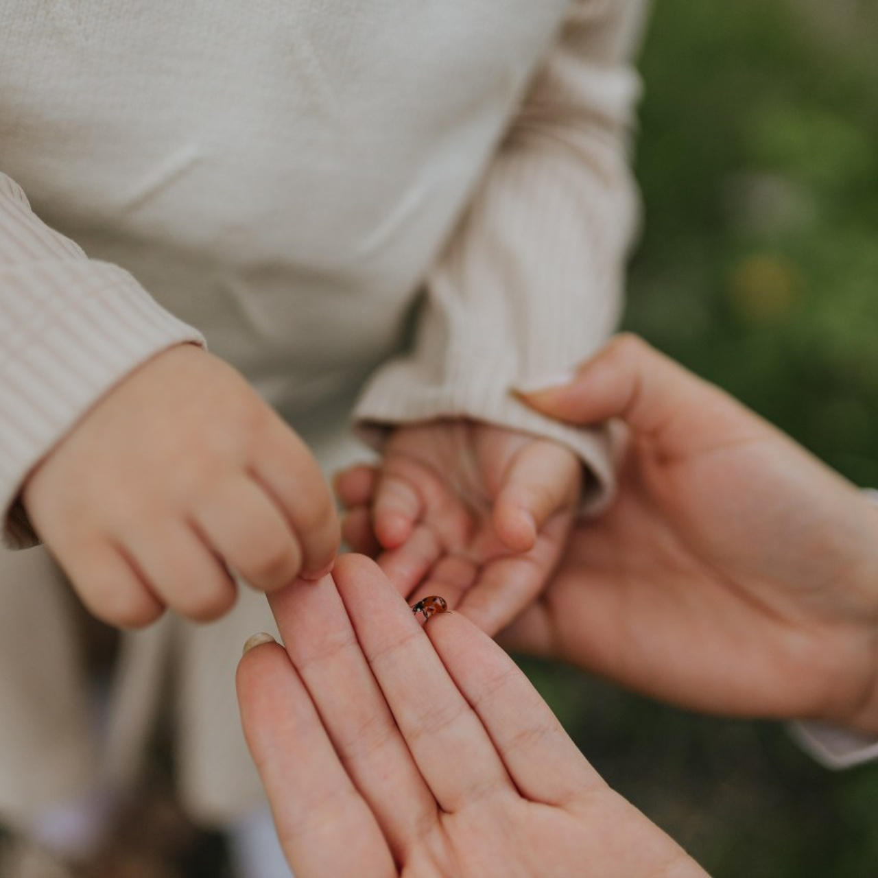 Отзывы. Свадебный и семейный фотограф в Белгороде Юлия Першина