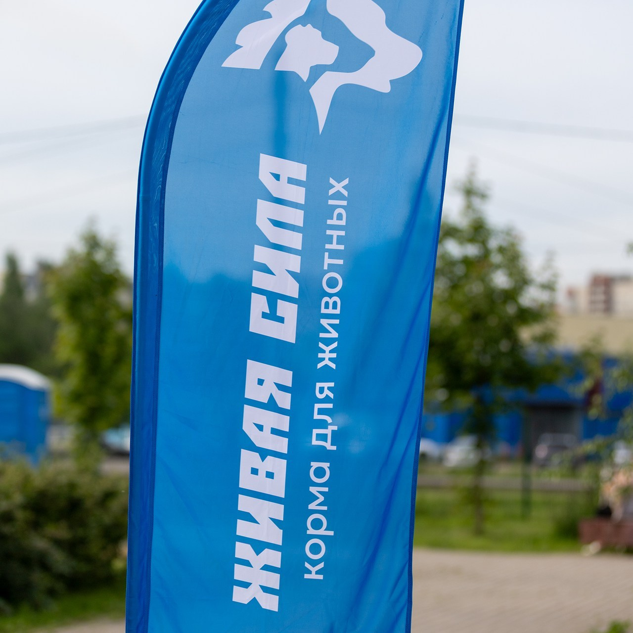 Отзывы. Irenephoto.ru