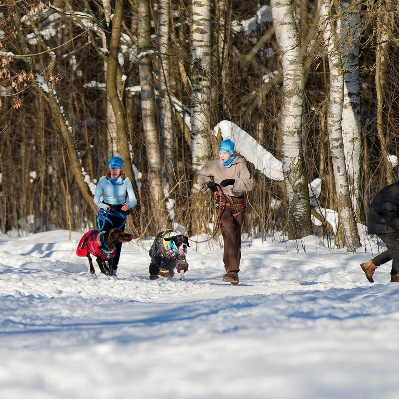 Отзывы. Irenephoto.ru
