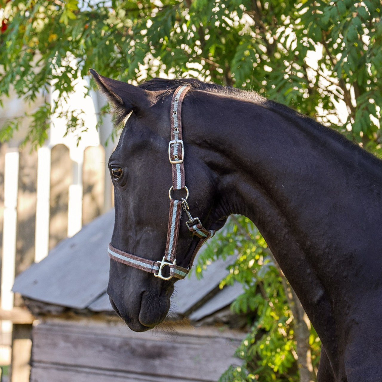 Отзывы. Irenephoto.ru